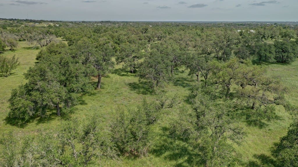 37.66 acres in Gillespie County - photo 52