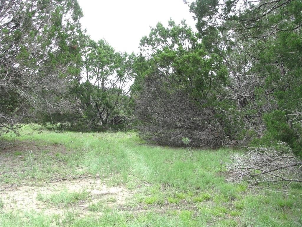 10.01 acres in Hamilton County gallery image 4