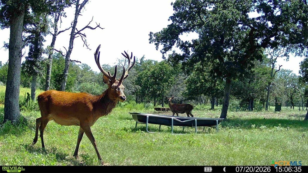392 acres in Caldwell County - photo 40