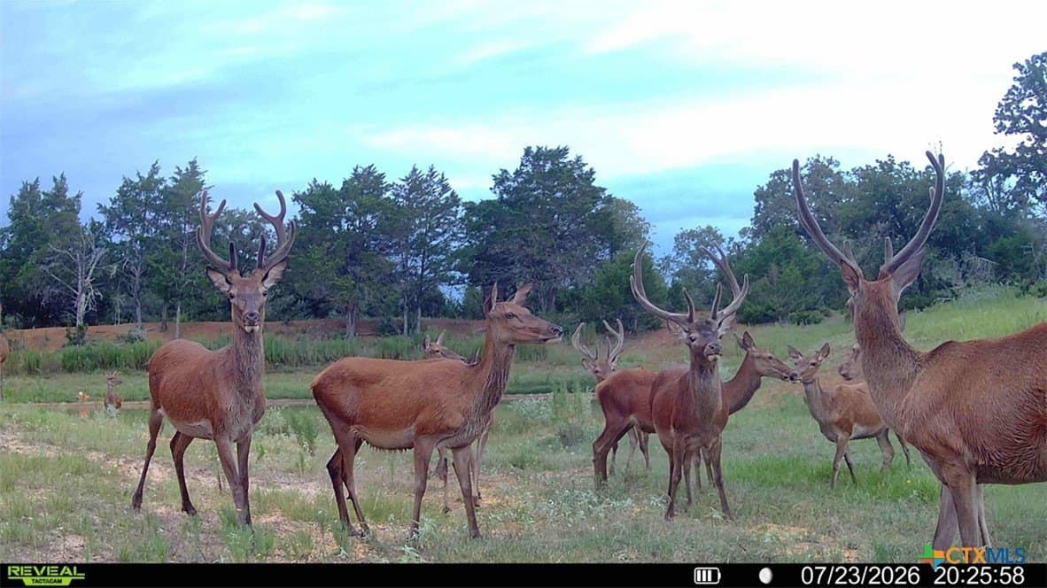 392 acres in Caldwell County - photo 9
