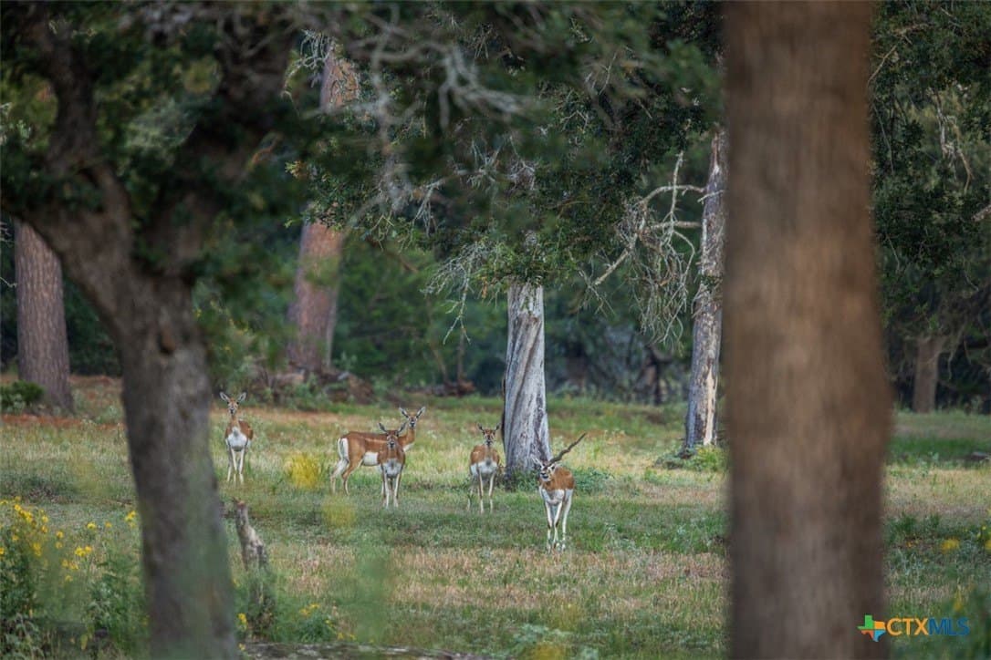 392 acres in Caldwell County - photo 8