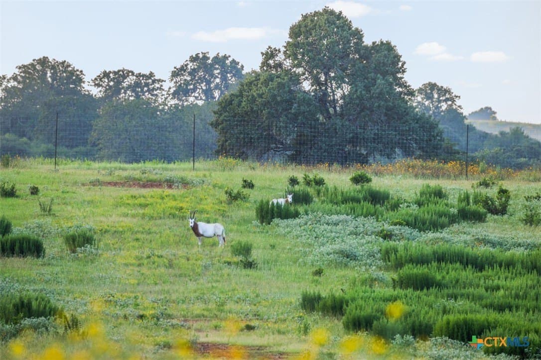 392 acres in Caldwell County - photo 4