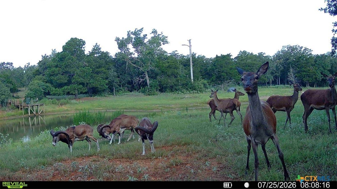 392 acres in Caldwell County - photo 10