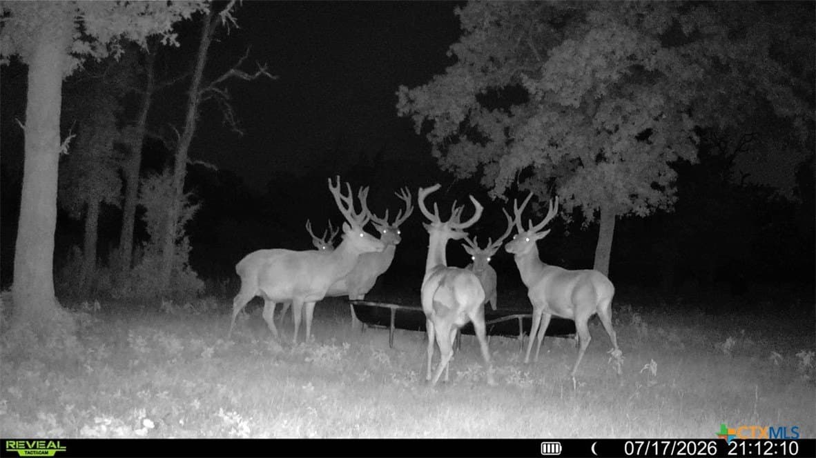 392 acres in Caldwell County - photo 39