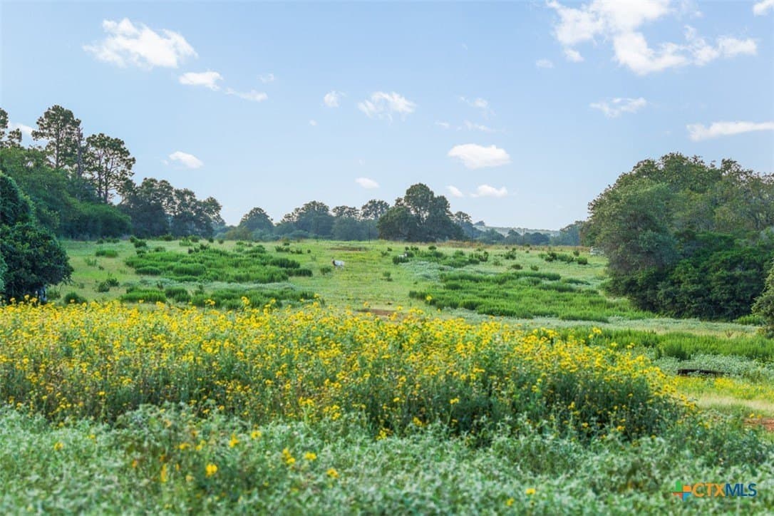 392 acres in Caldwell County - photo 5