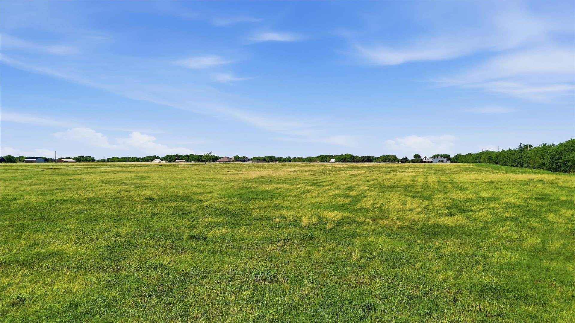15.38 acres in Grayson County - photo 7