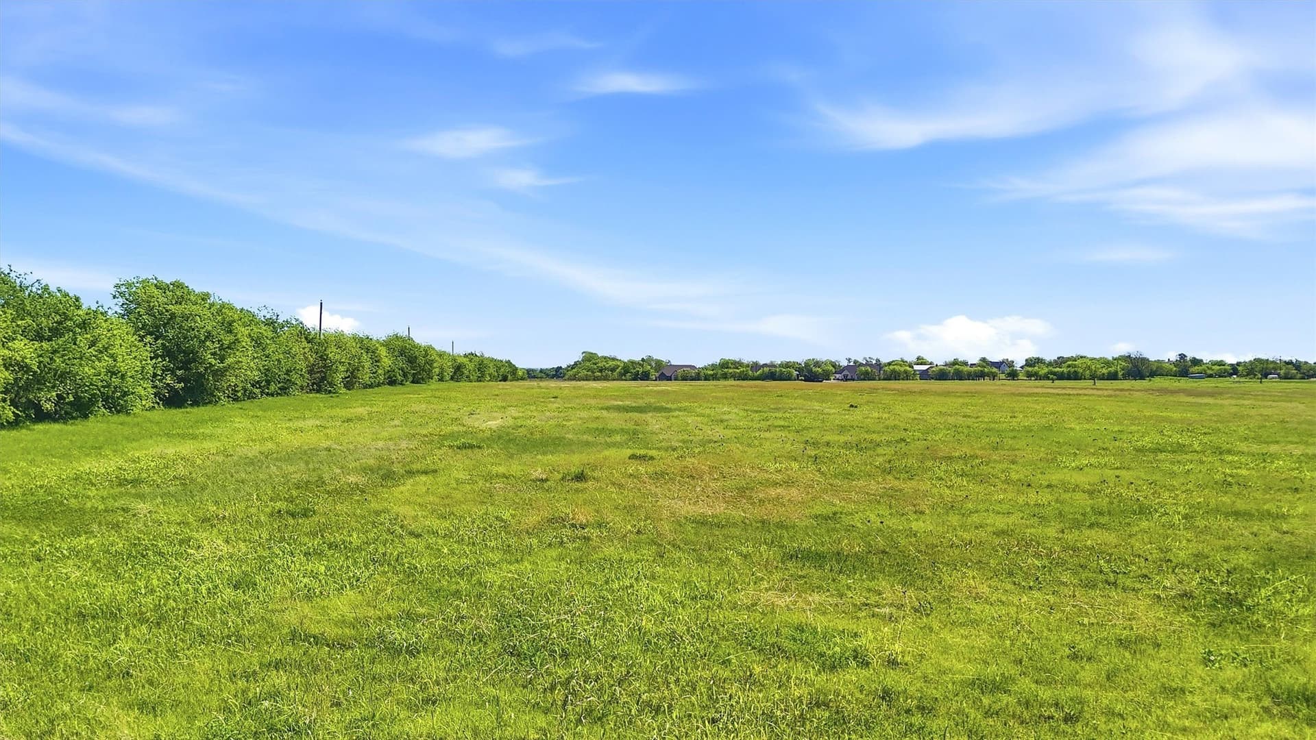 15.38 acres in Grayson County - photo 21