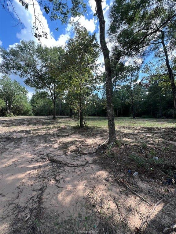 2.5 acres in Grimes County - photo 6