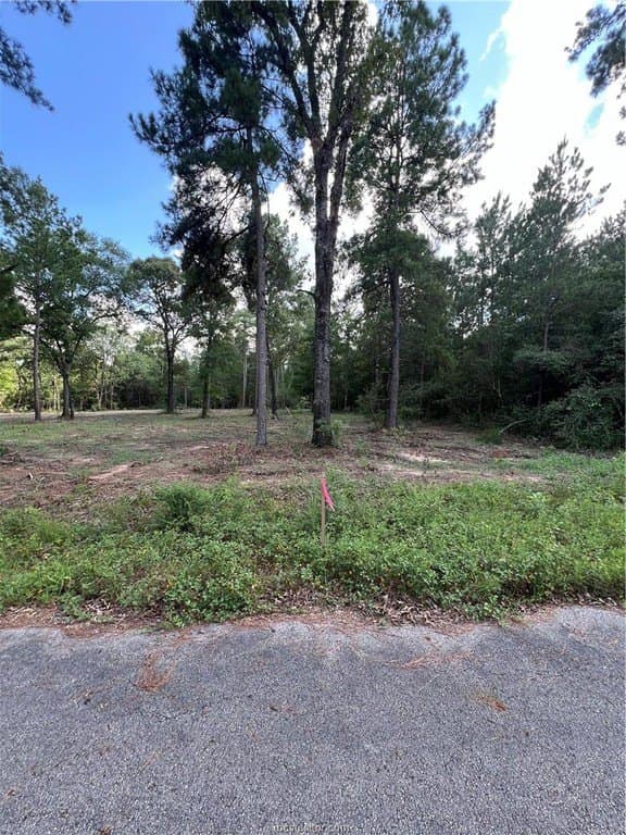 2.5 acres in Grimes County - photo 7