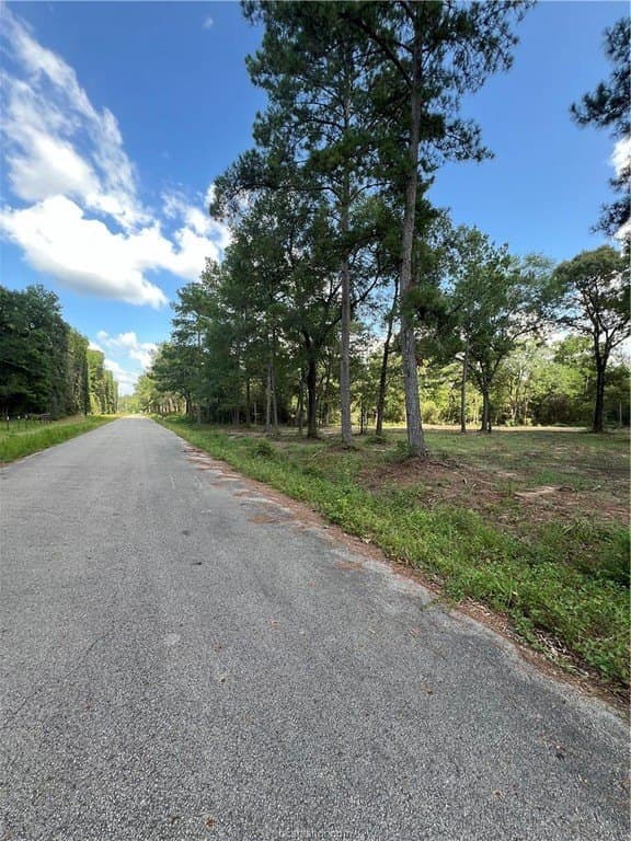 2.5 acres in Grimes County - photo 8
