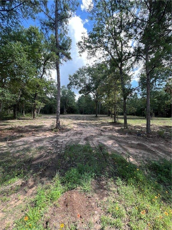2.5 acres in Grimes County featured view
