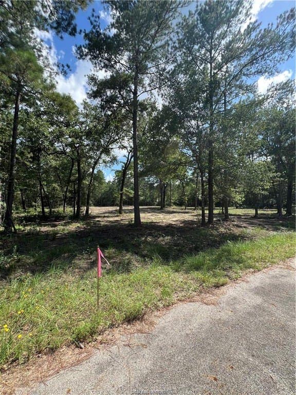 2.5 acres in Grimes County gallery image 2