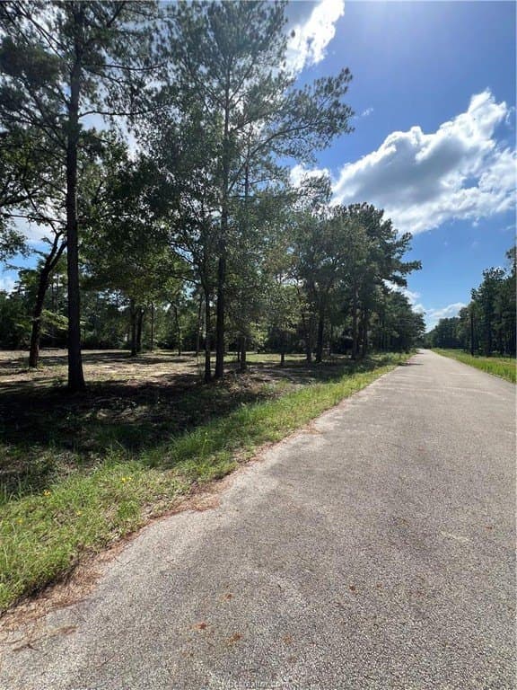 2.5 acres in Grimes County gallery image 3