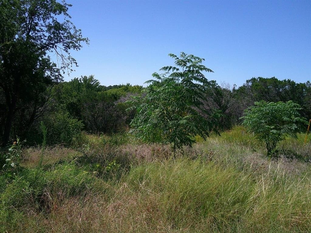 0.44 acres in Hood County gallery image 4