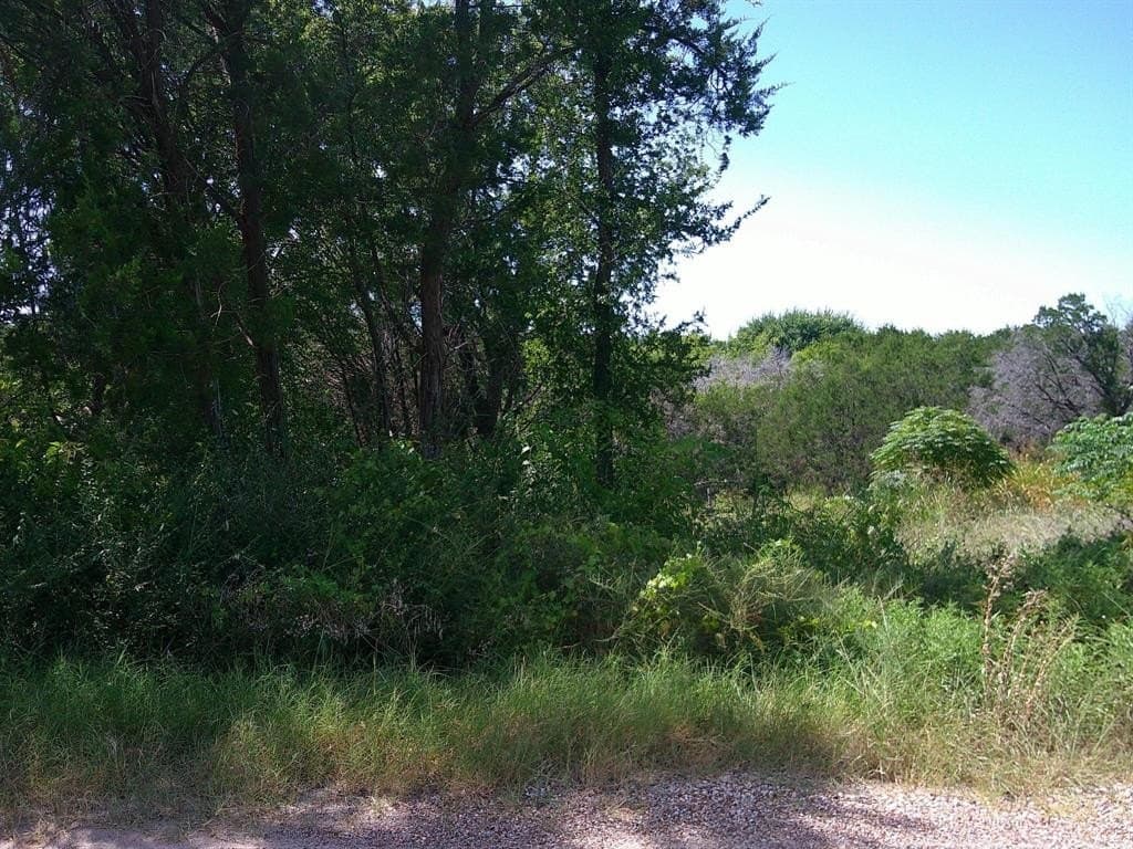 0.44 acres in Hood County gallery image 3