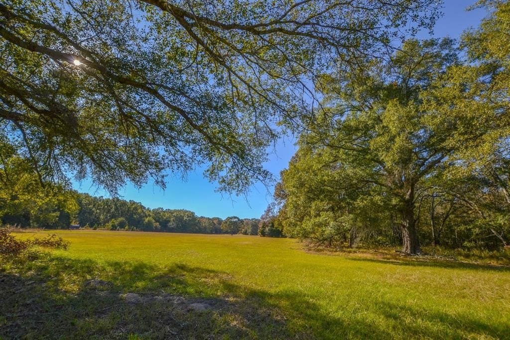 100 acres in Van Zandt County featured view