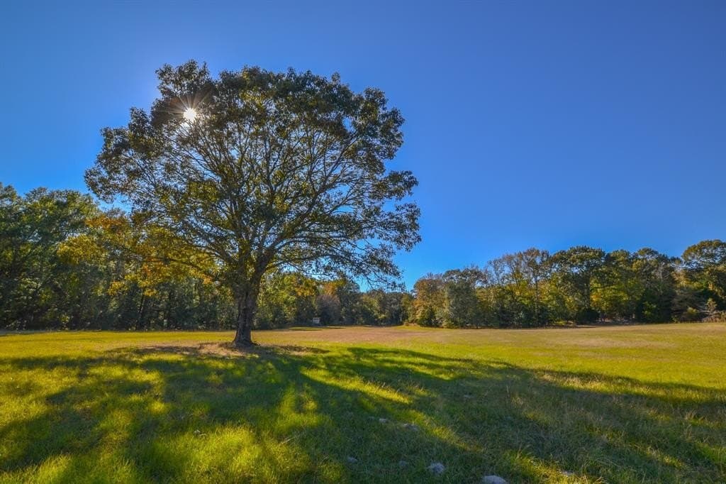 100 acres in Van Zandt County gallery image 2