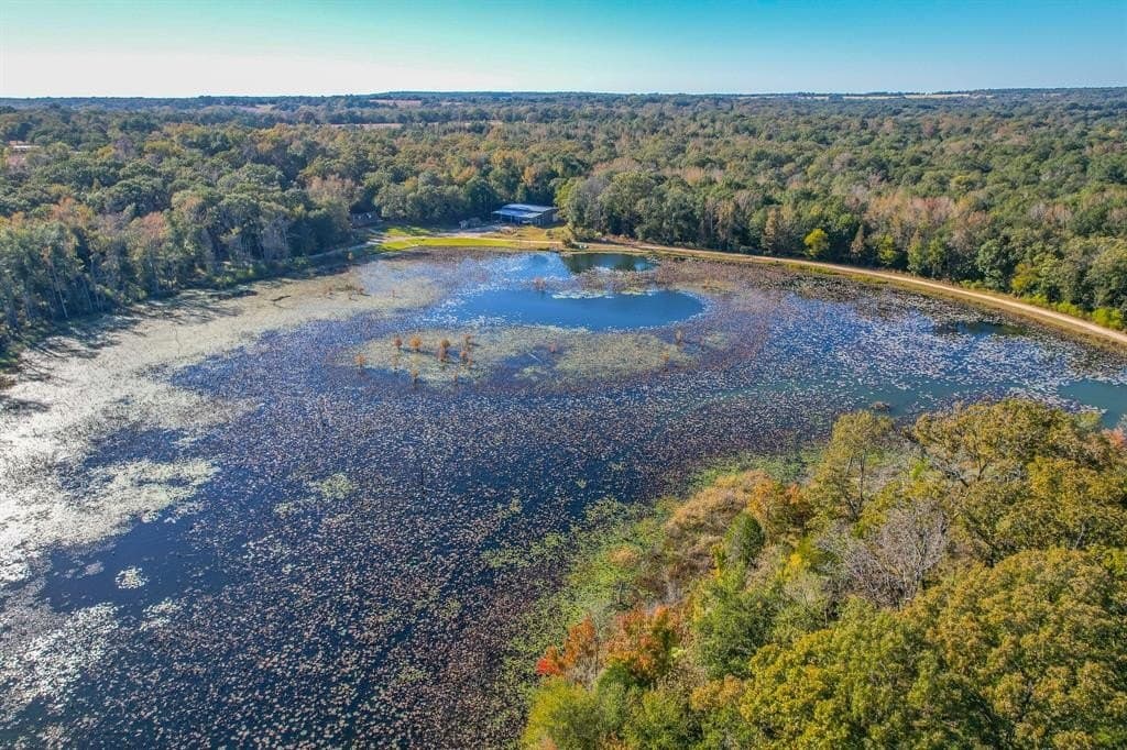 100 acres in Van Zandt County gallery image 3