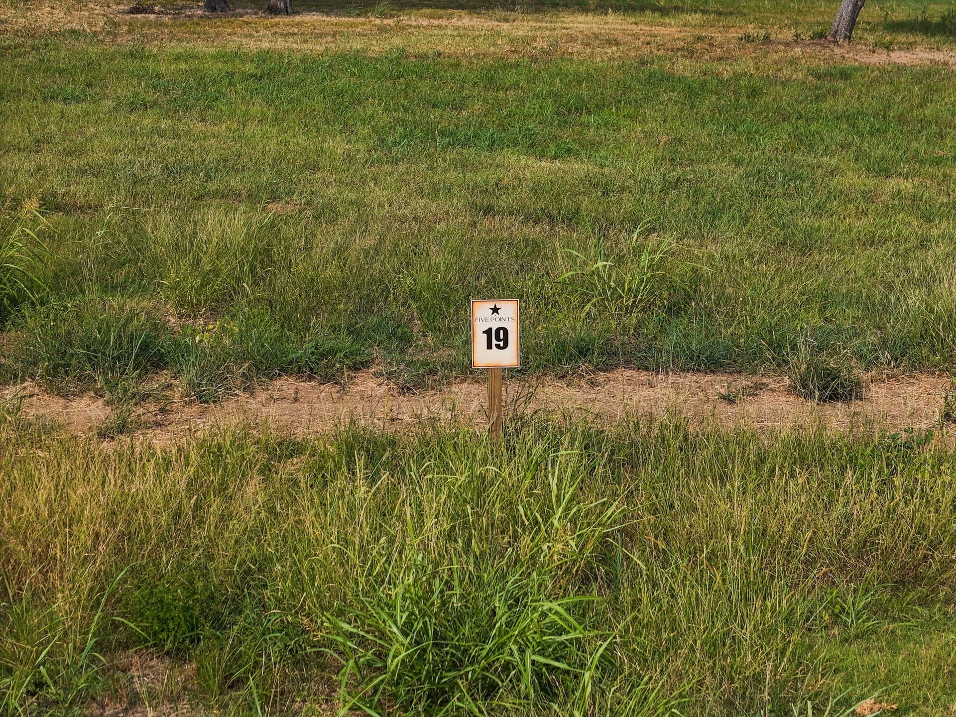 1.44 acres in Fannin County gallery image 3