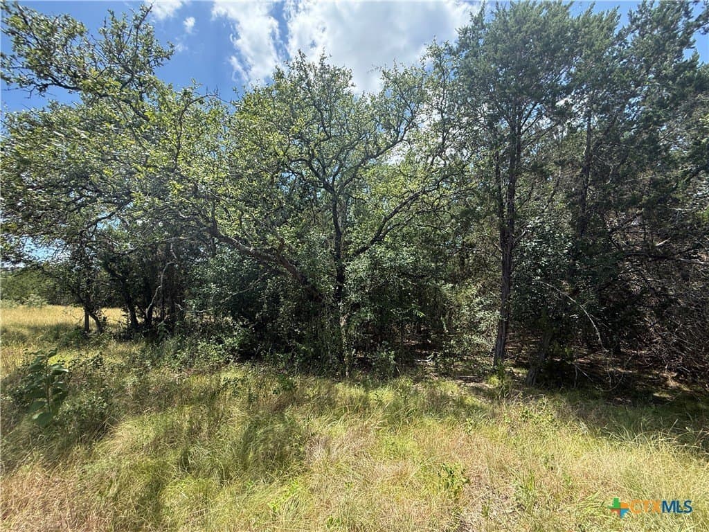 1.82 acres in Bell County gallery image 4