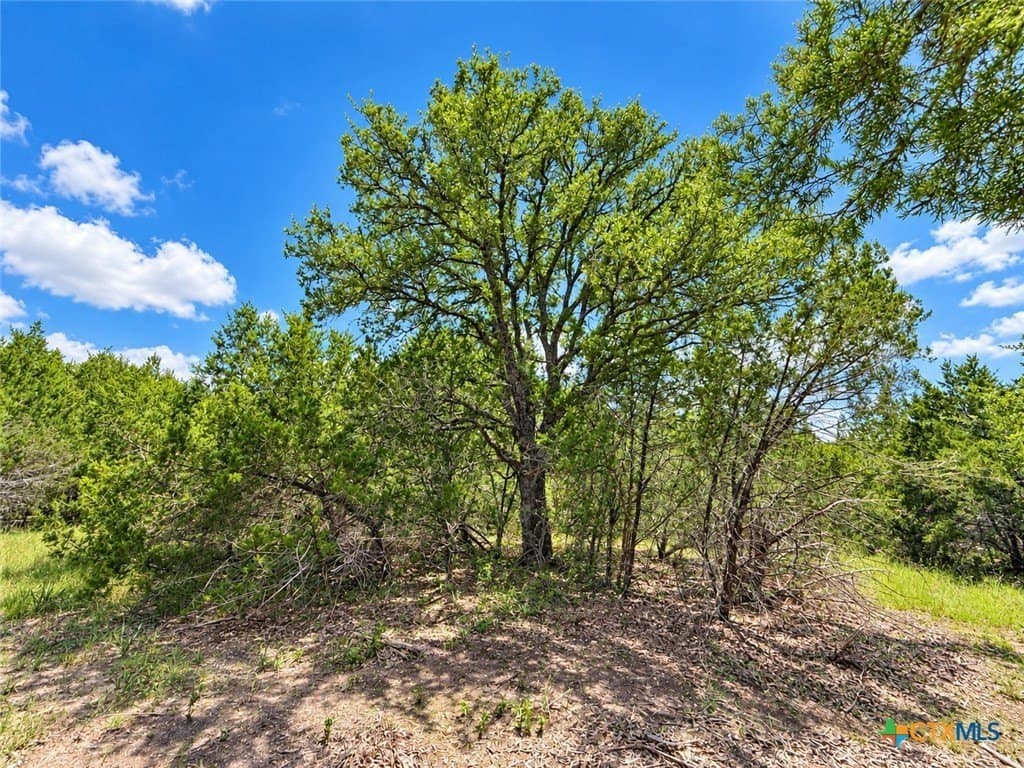 1.82 acres in Bell County - photo 3