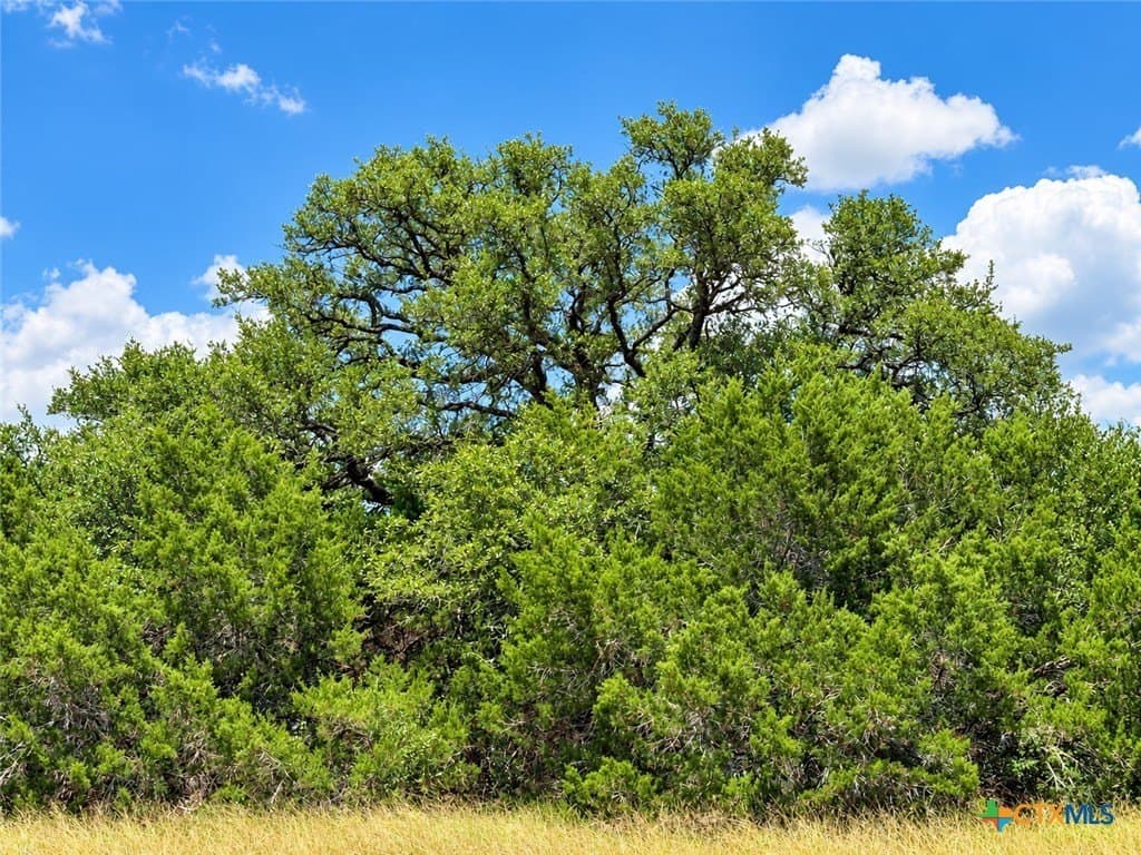 1.82 acres in Bell County - photo 6