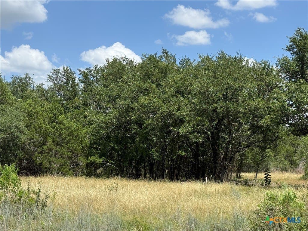 1.82 acres in Bell County - photo 7