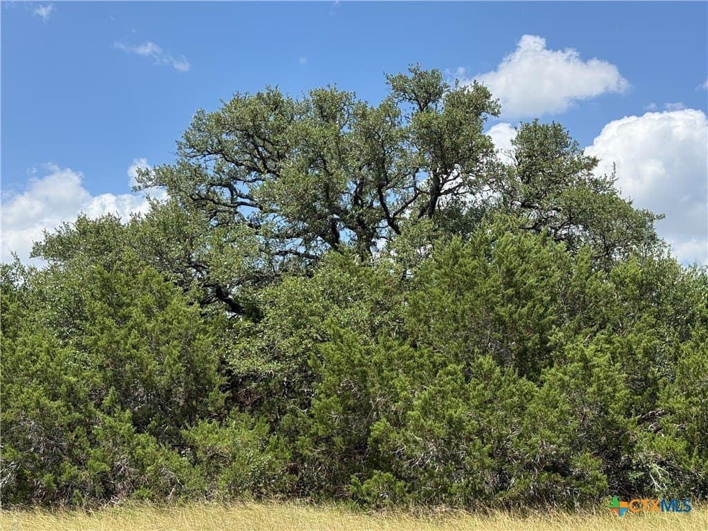 1.82 acres in Bell County gallery image 3