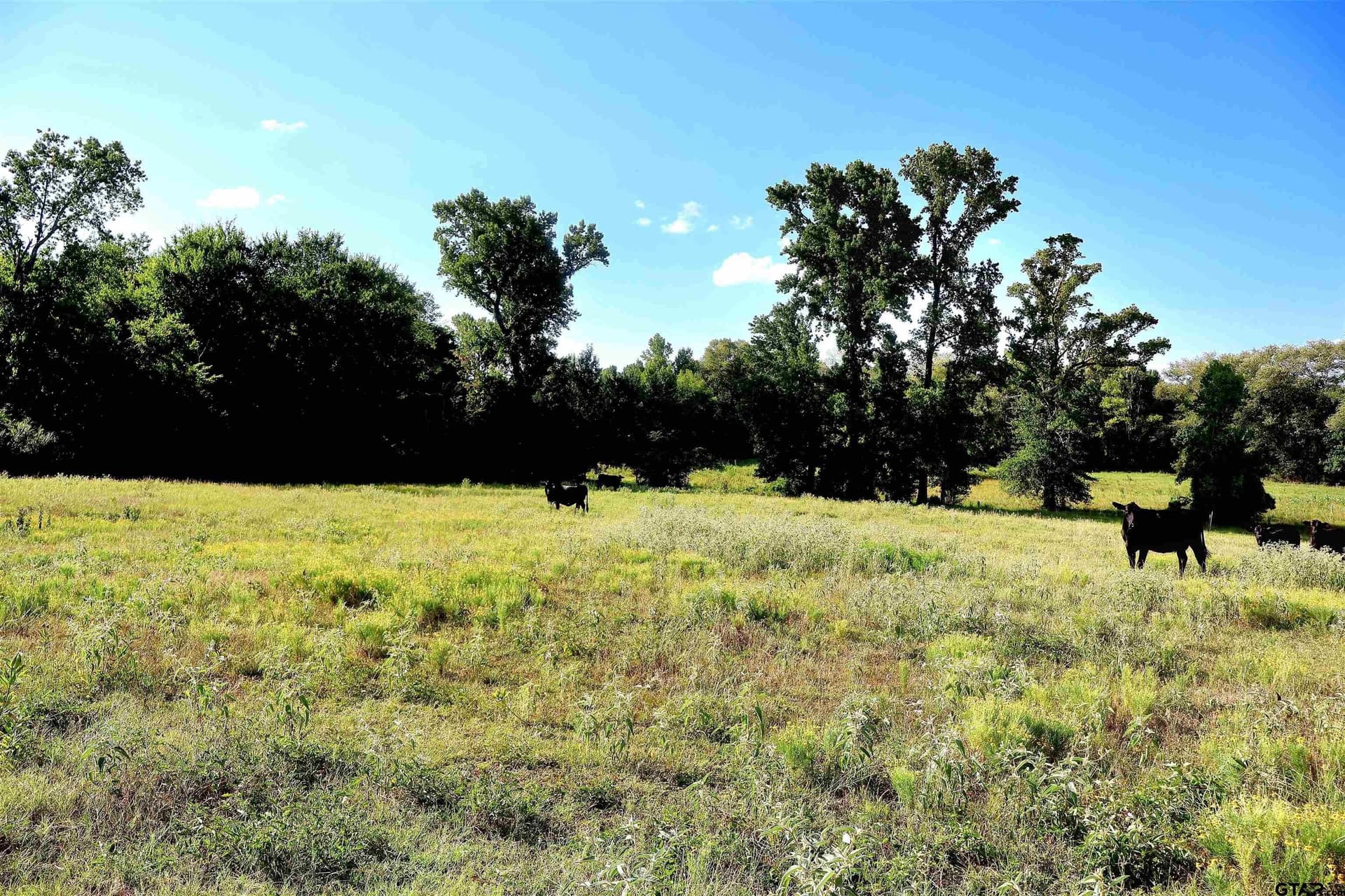 36.35 acres in Smith County - photo 37
