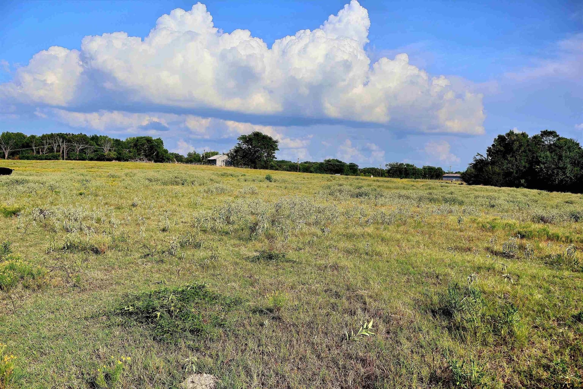 36.35 acres in Smith County - photo 39
