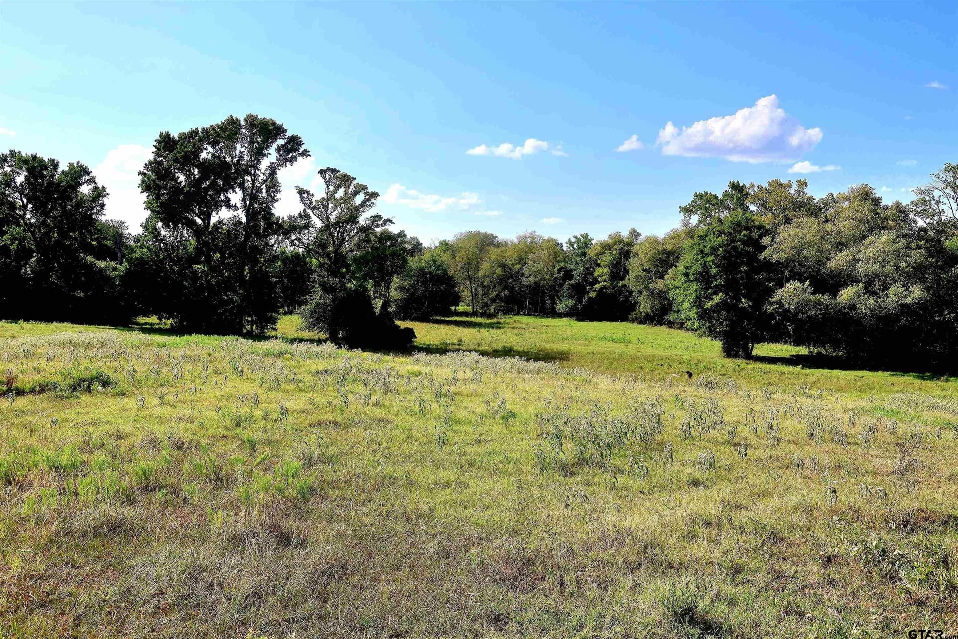 36.35 acres in Smith County - photo 30