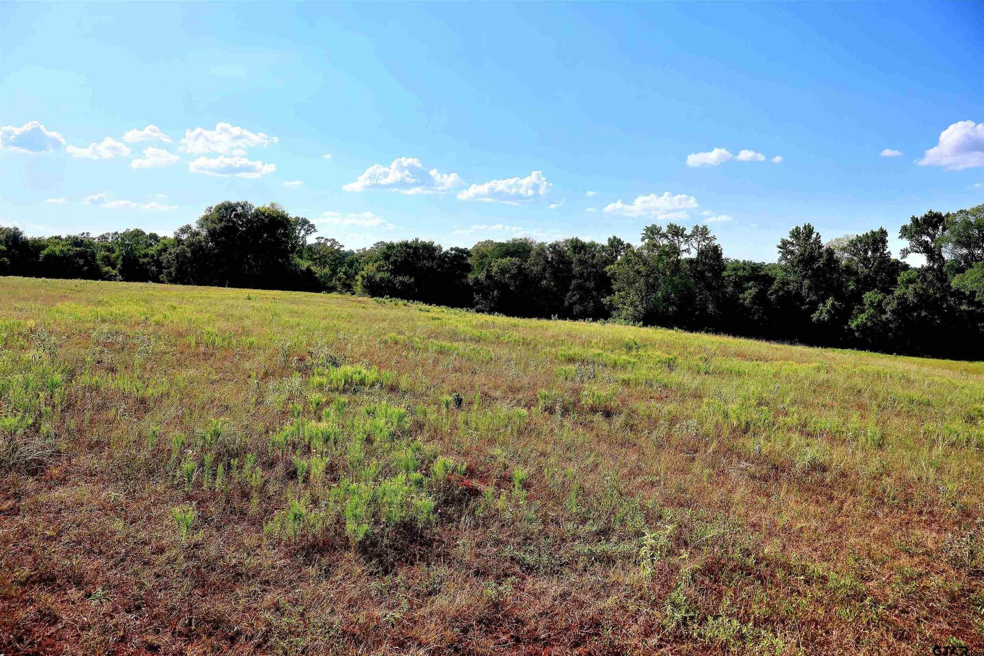 36.35 acres in Smith County - photo 18