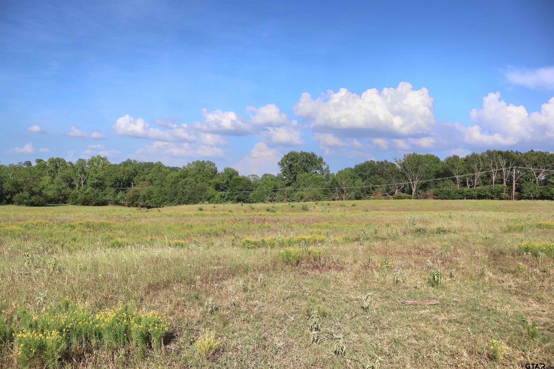 36.35 acres in Smith County - photo 25