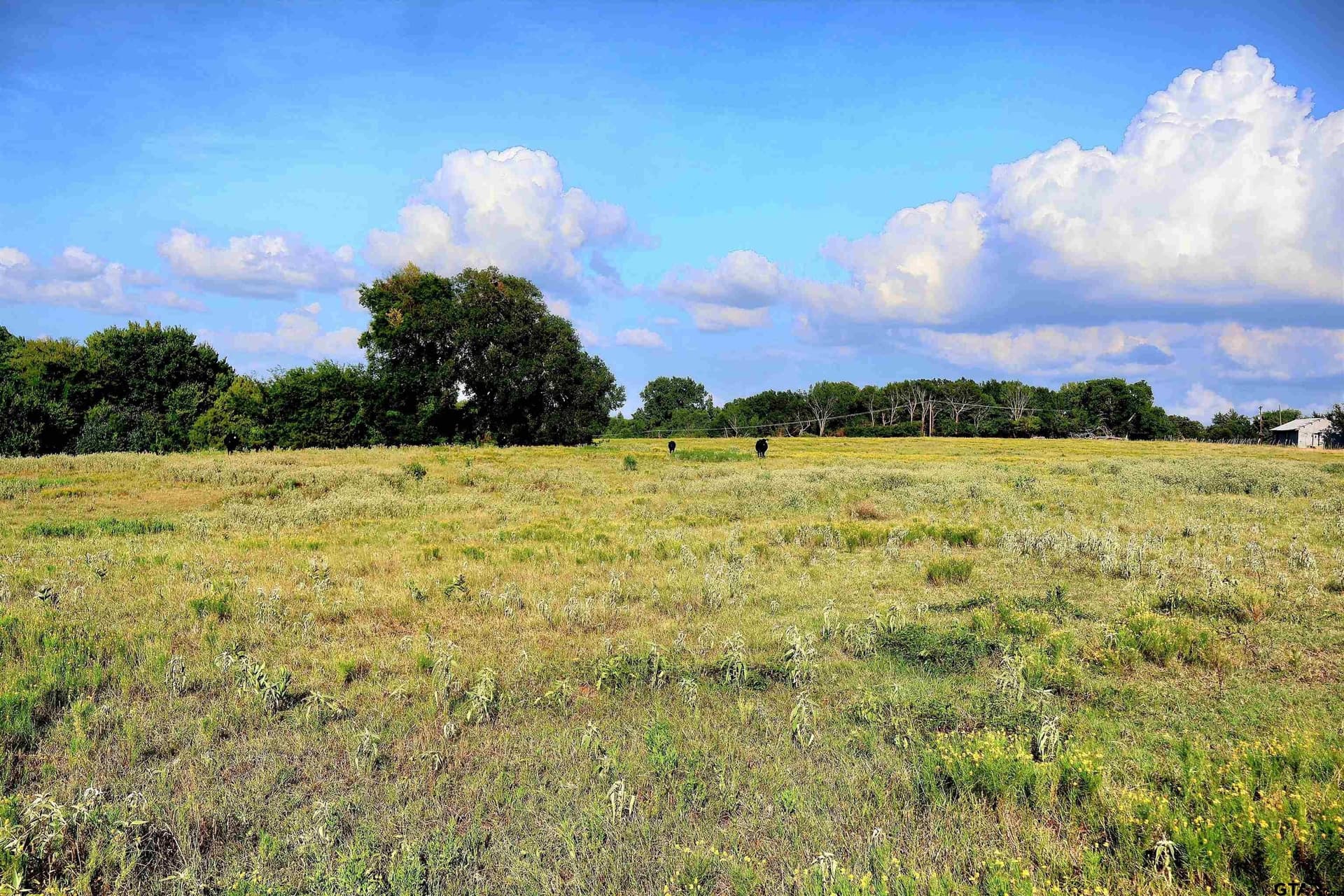 36.35 acres in Smith County - photo 36