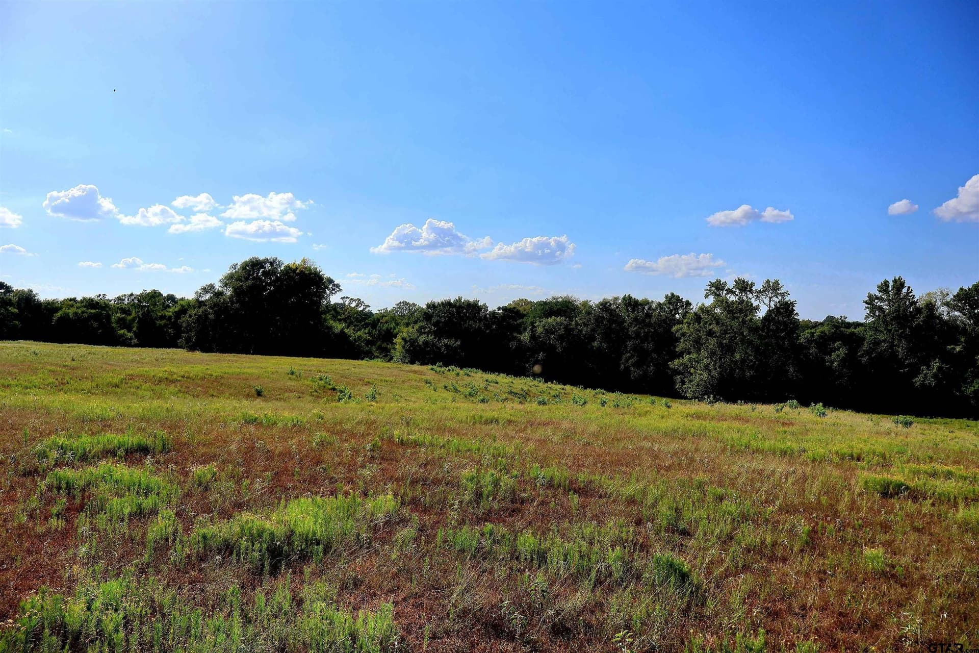 36.35 acres in Smith County - photo 22