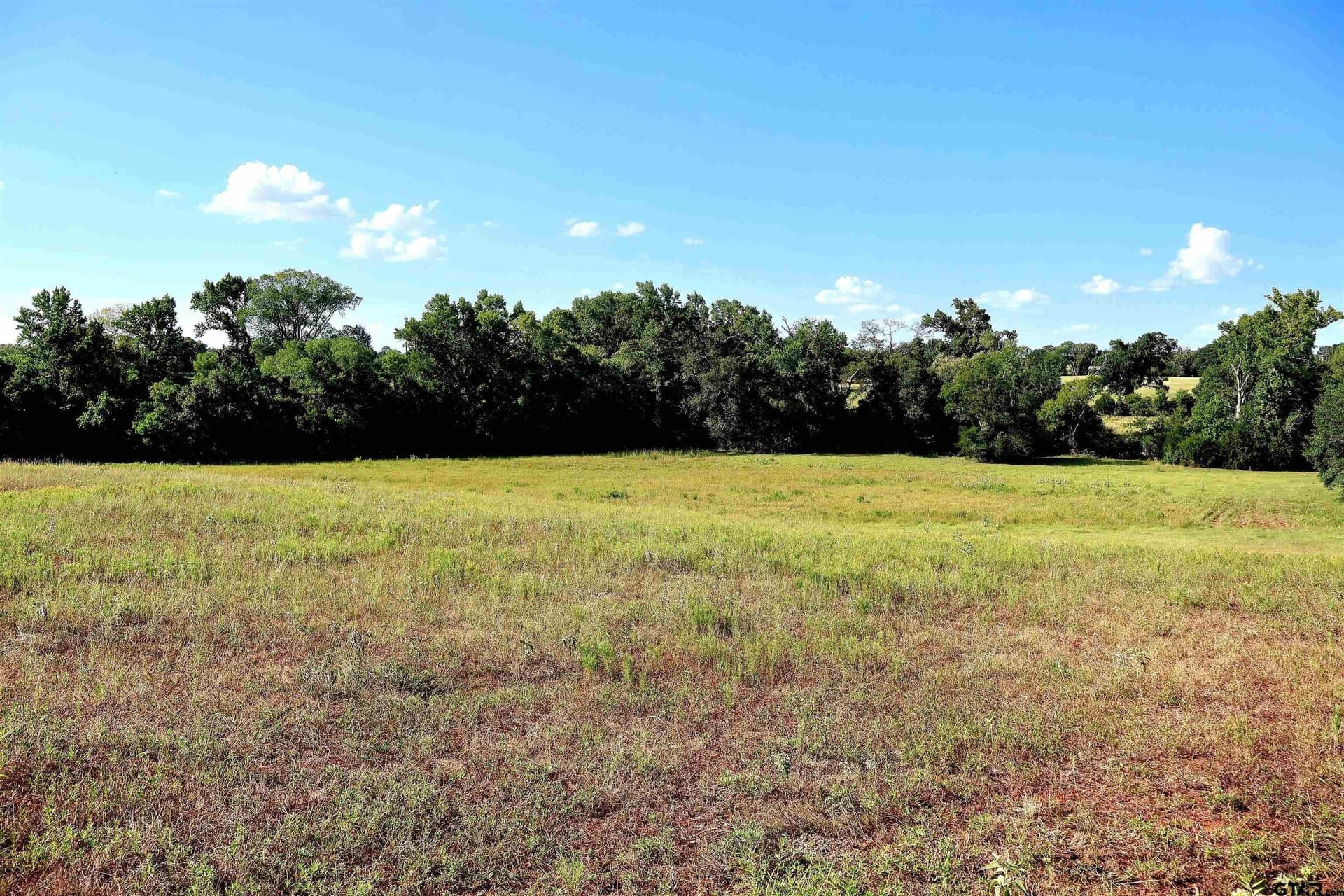 36.35 acres in Smith County - photo 16