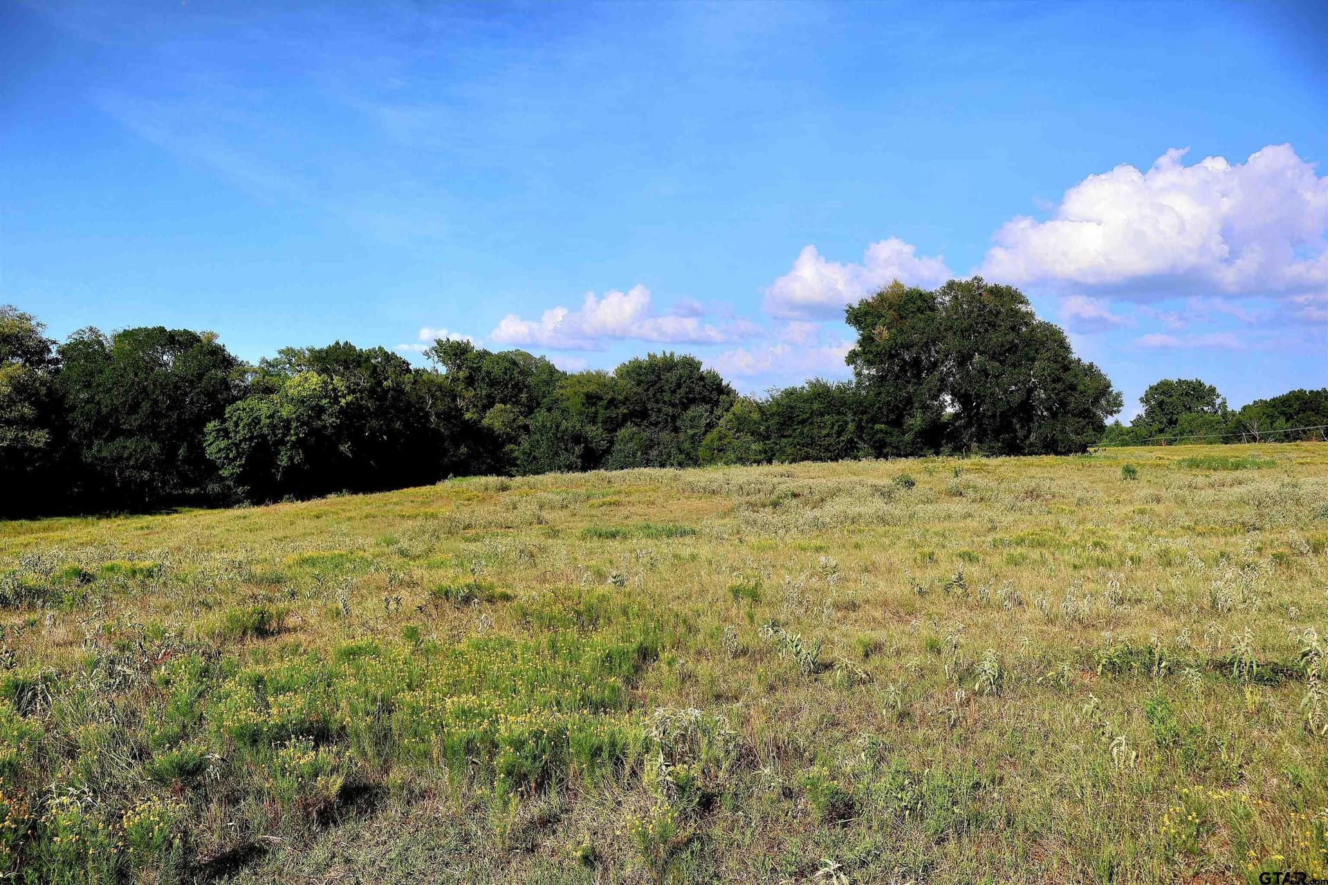 36.35 acres in Smith County - photo 32