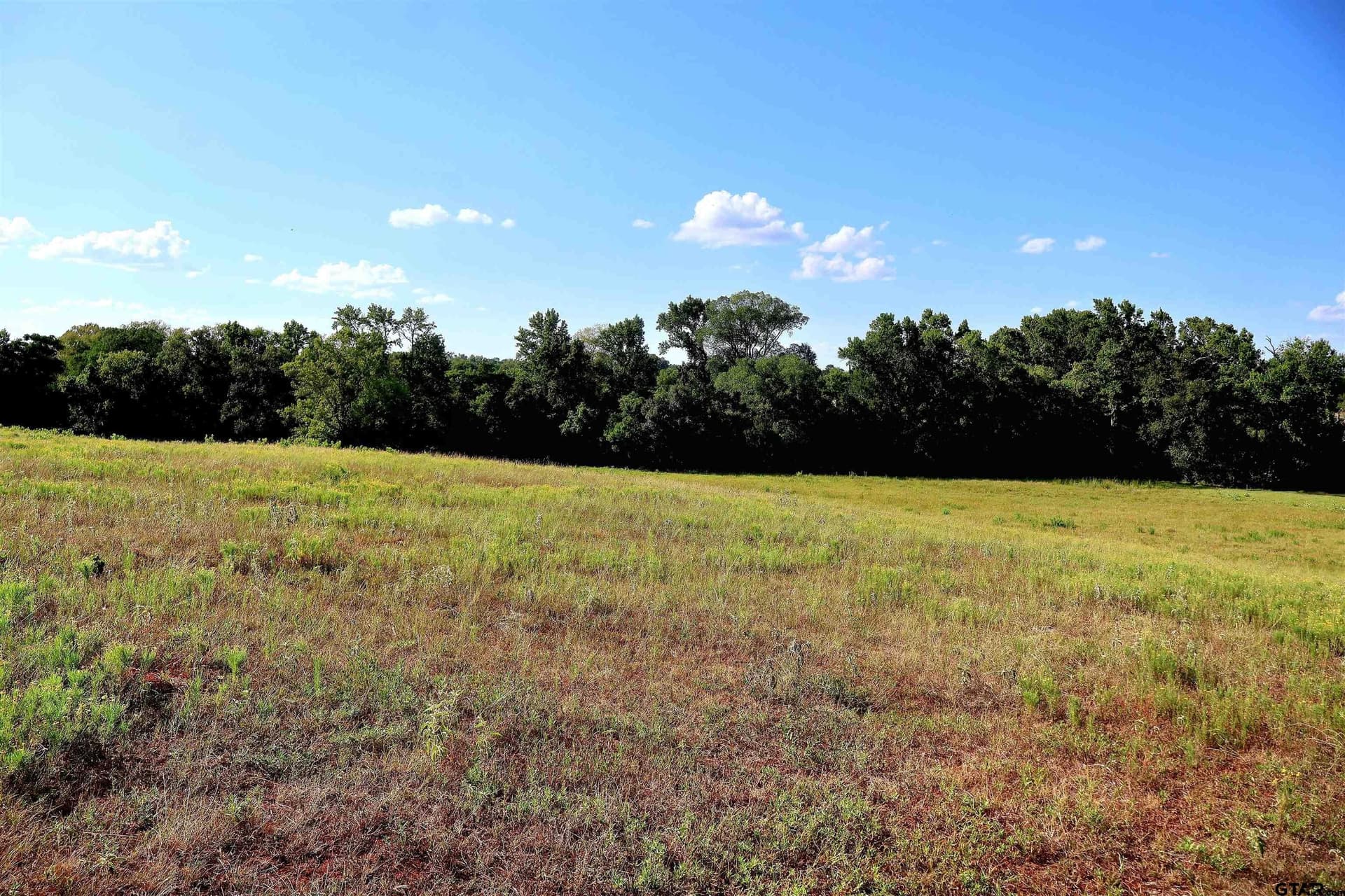36.35 acres in Smith County - photo 17