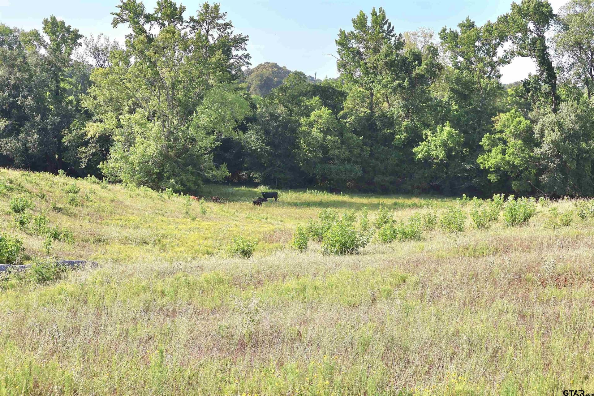 36.35 acres in Smith County - photo 24