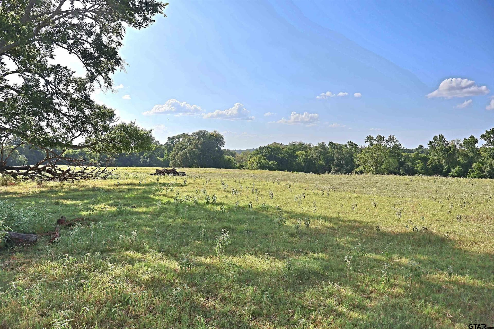36.35 acres in Smith County - photo 14