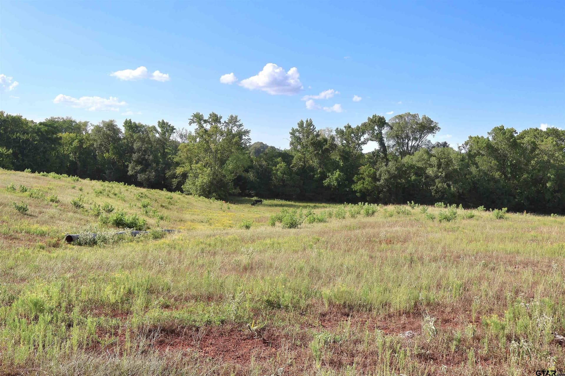 36.35 acres in Smith County - photo 23