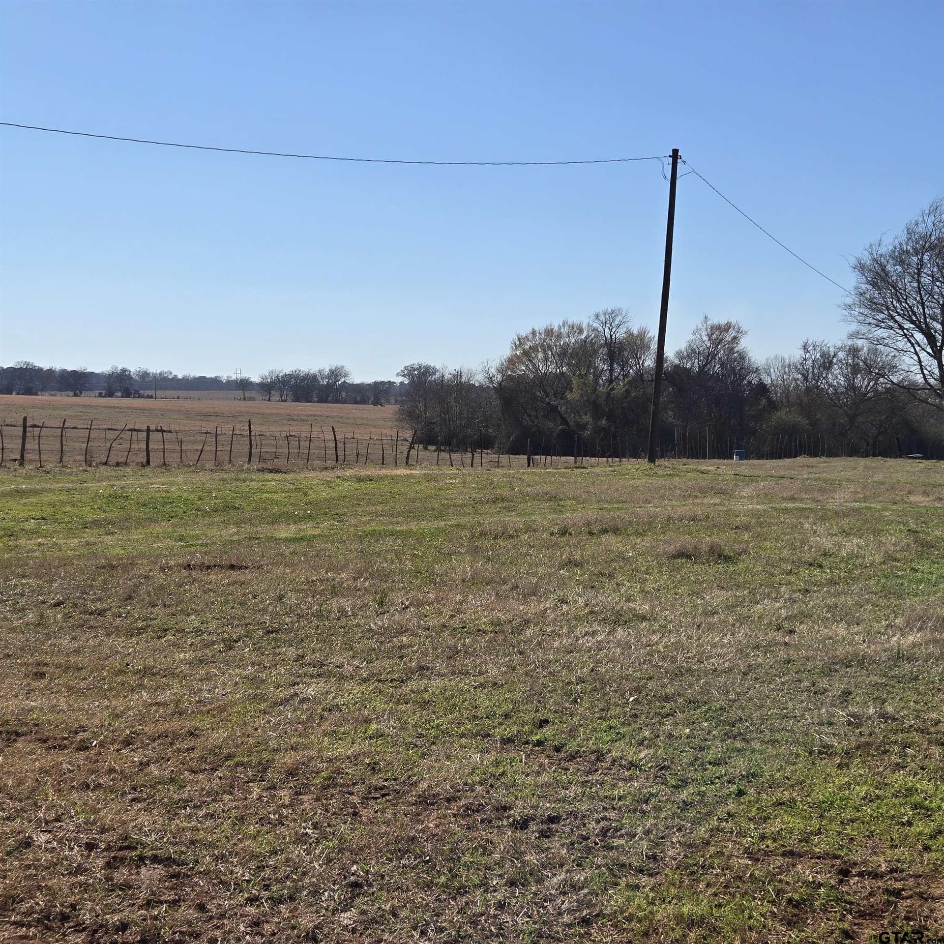 36.35 acres in Smith County gallery image 4