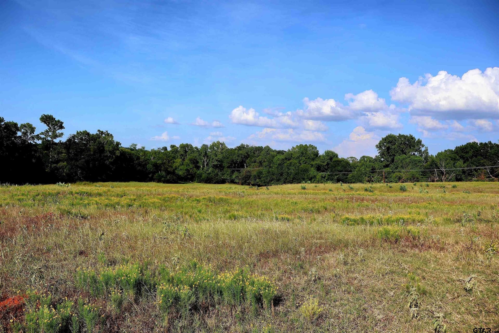 36.35 acres in Smith County - photo 26