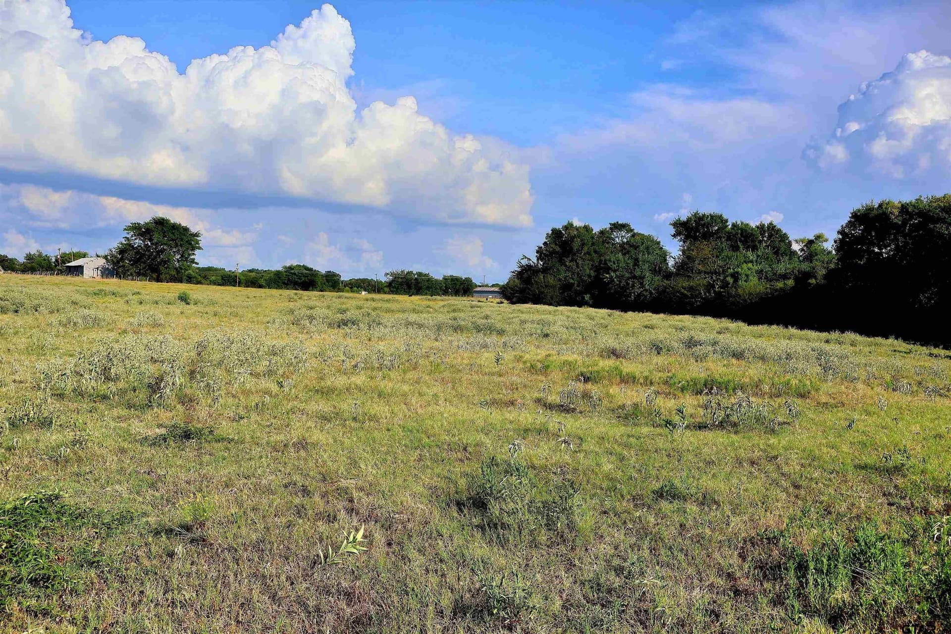 36.35 acres in Smith County - photo 38