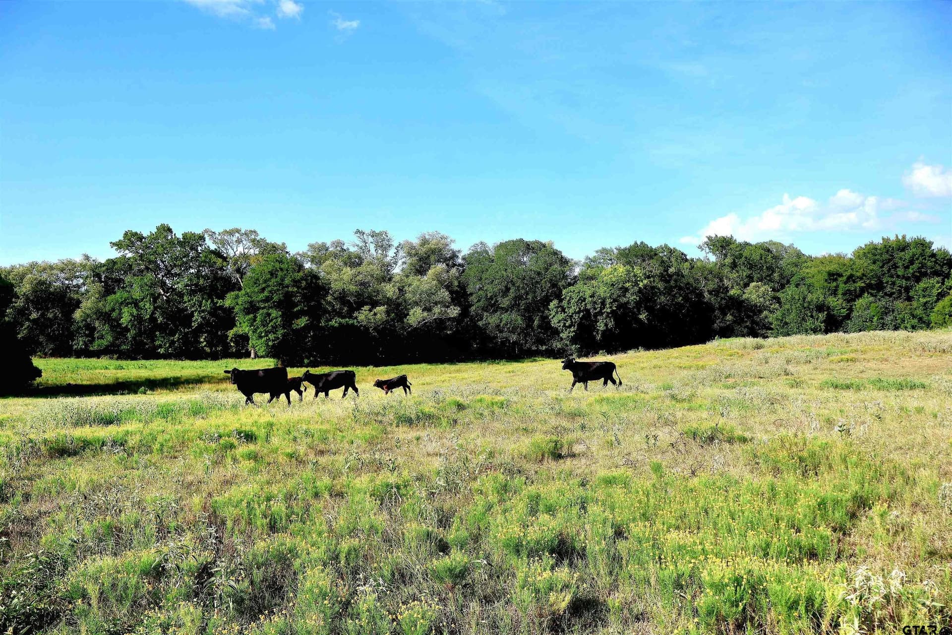 36.35 acres in Smith County - photo 35