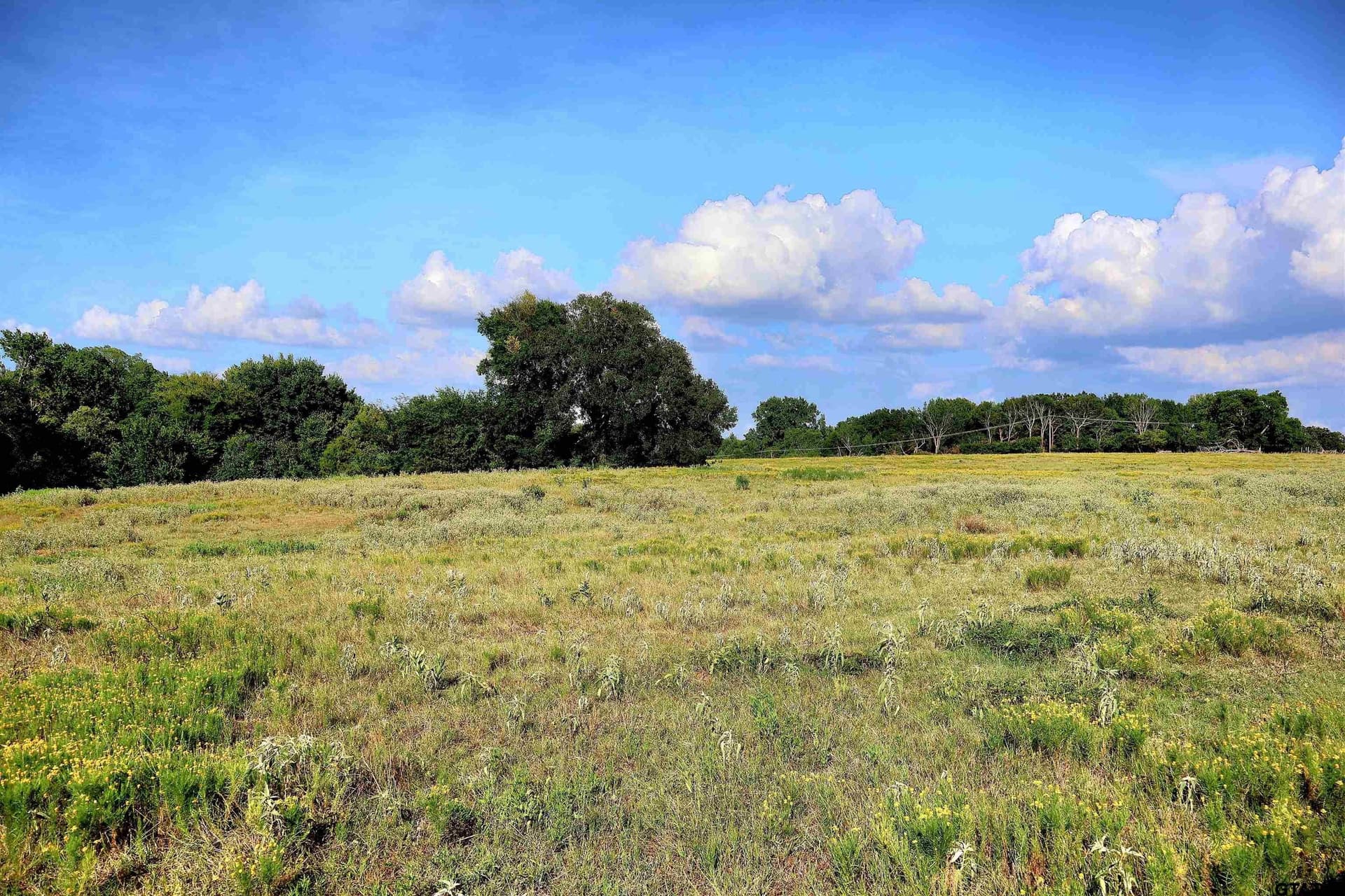 36.35 acres in Smith County - photo 33