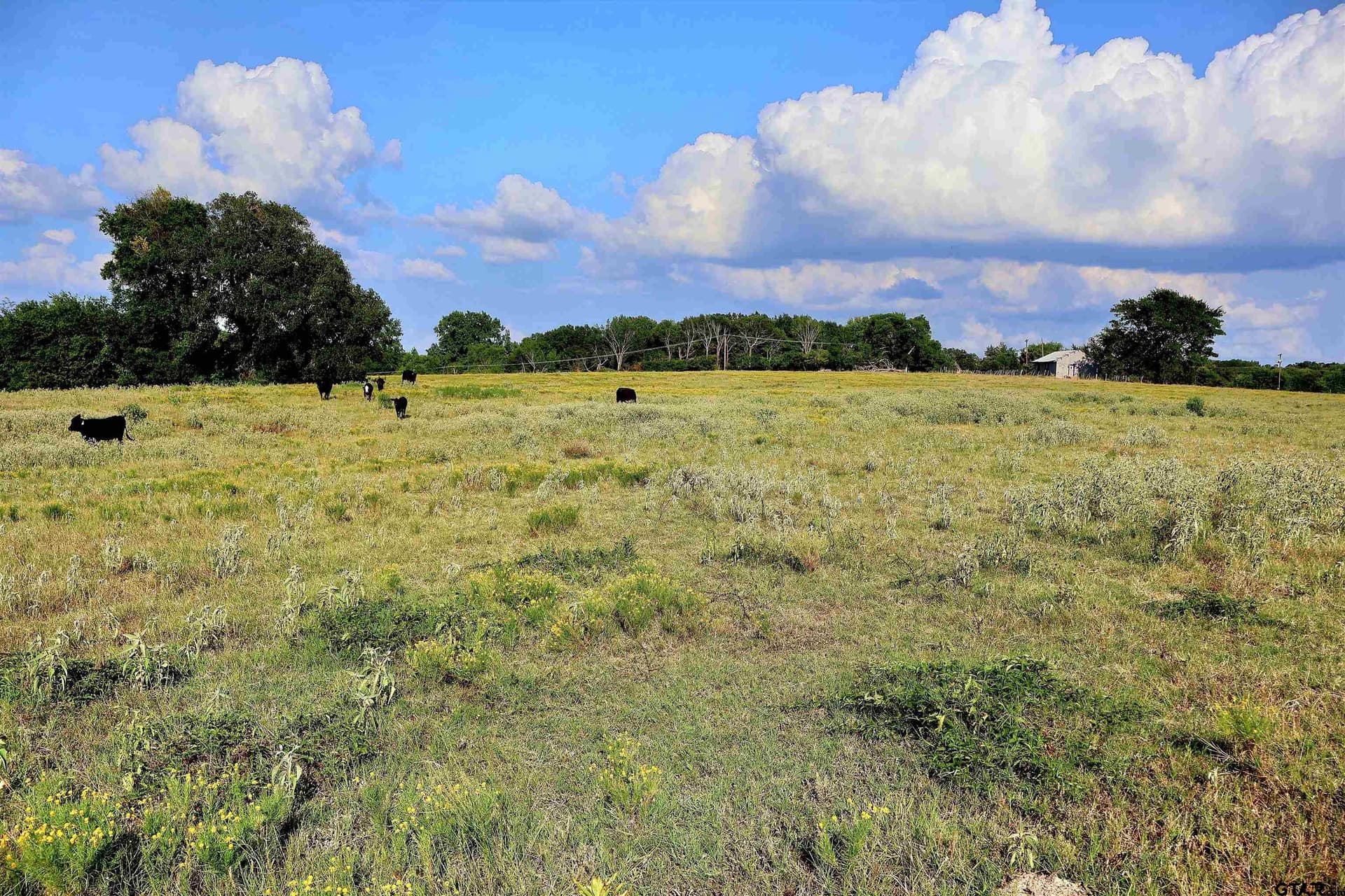 36.35 acres in Smith County - photo 40