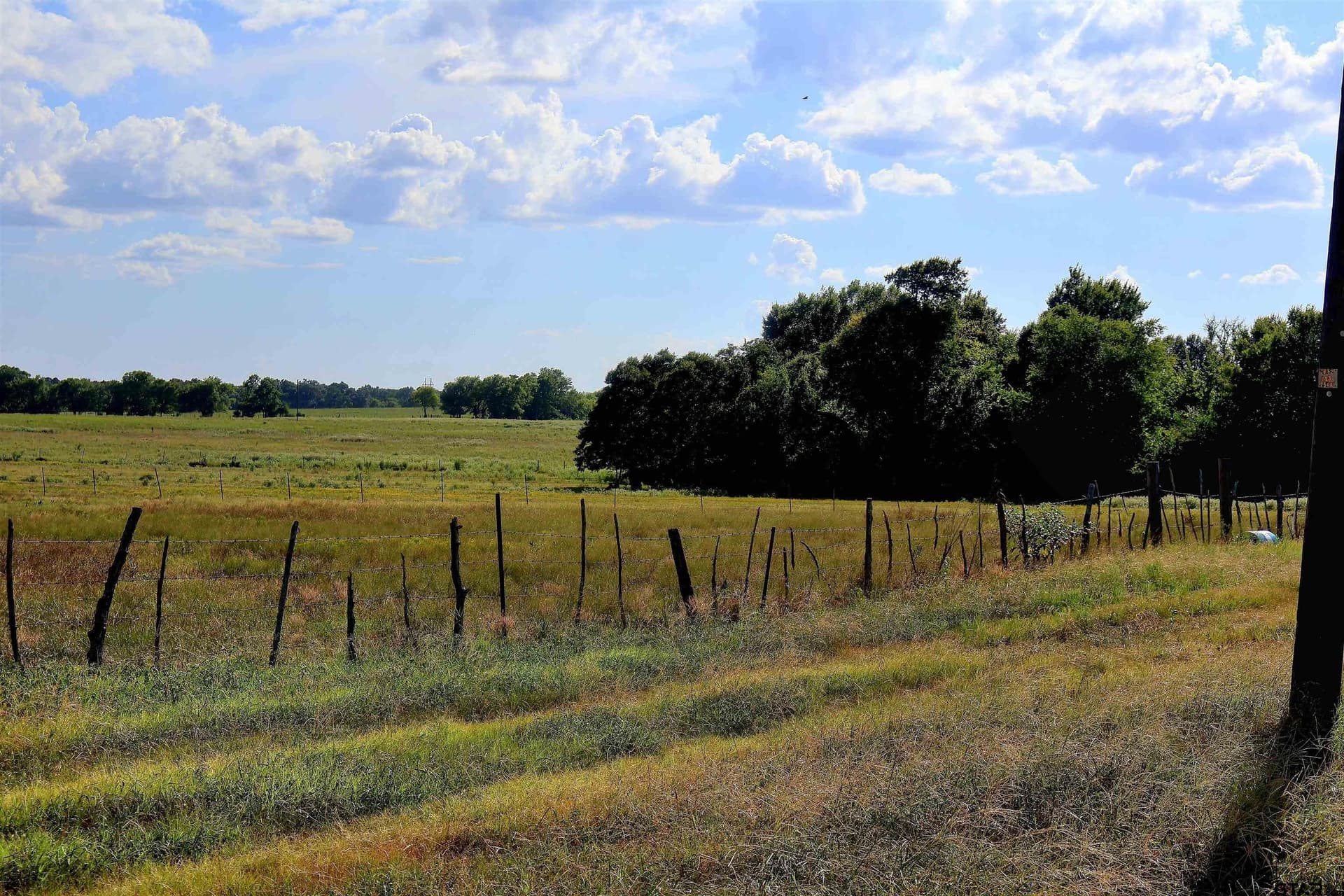 36.35 acres in Smith County - photo 13