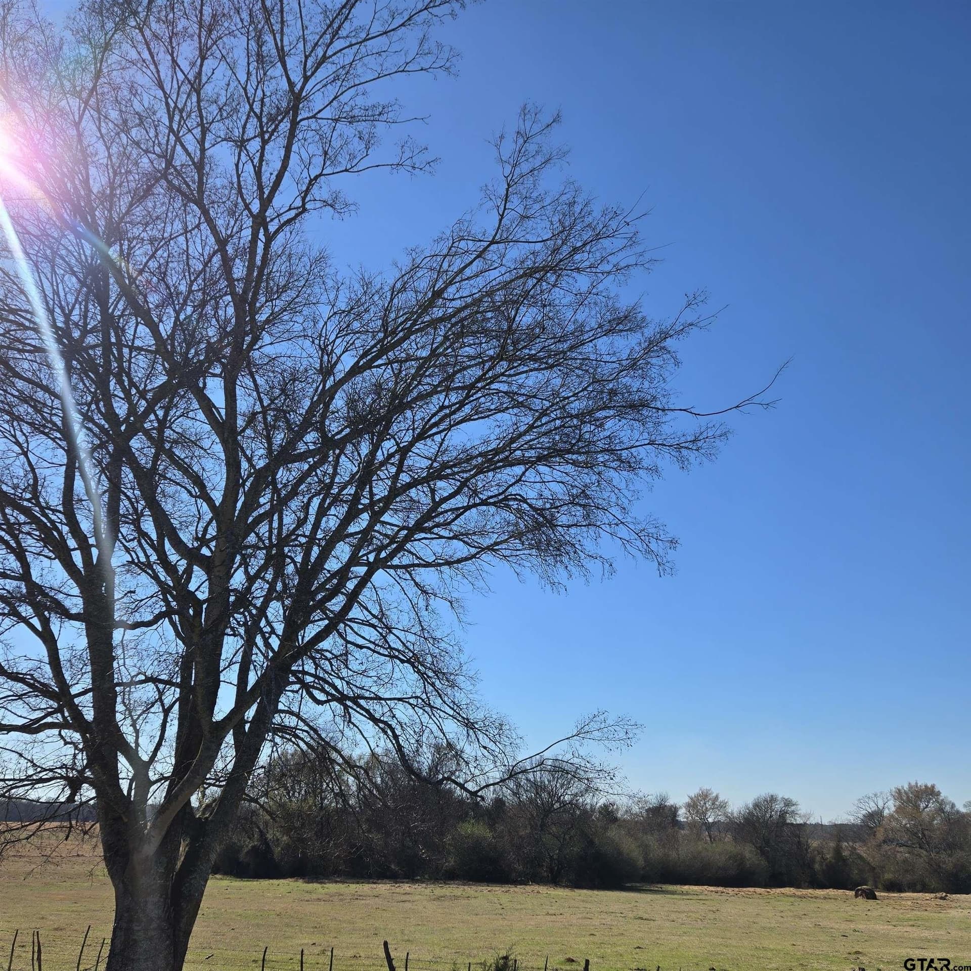 36.35 acres in Smith County - photo 8