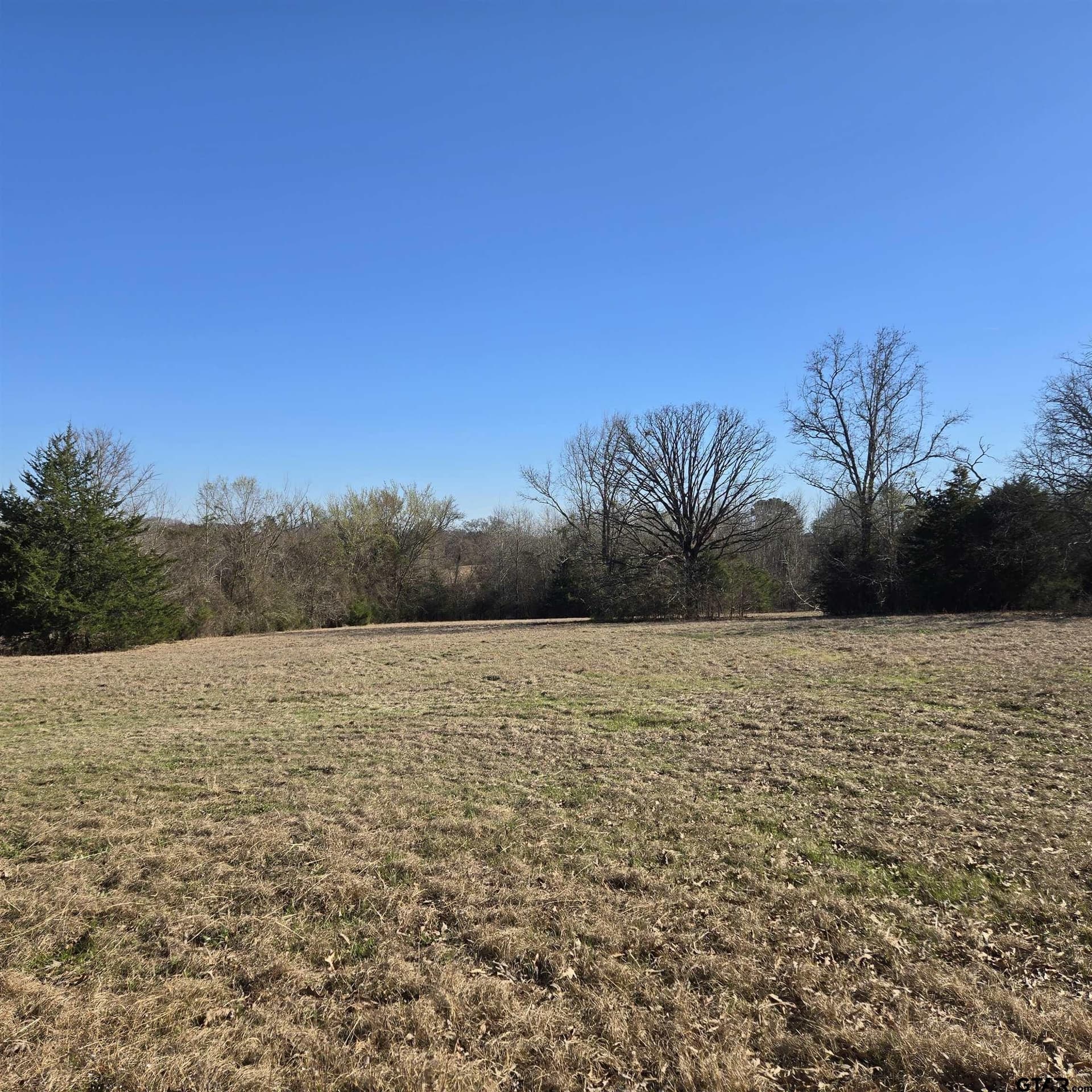 36.35 acres in Smith County gallery image 2